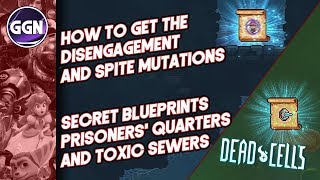 How to get the Disengagement and Spite Mutations  Secret Blueprints  Dead Cells [upl. by Lerrej]