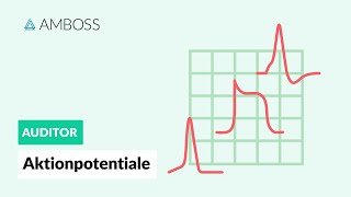 Aktionspotentiale  AMBOSS Auditor [upl. by Ordnaxela]