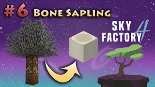 Part 6 Bone Sapling Minecraft Sky Factory 4 [upl. by Adnhoj]