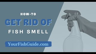 How To Get Rid Of Fish Smell In YOUR Kitchen  12 Ways of Getting Rid of Fishy Smell [upl. by Kotz]