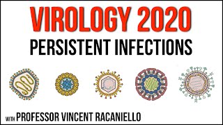 Virology Lectures 2020 17 Persistent infections [upl. by Aihsercal]