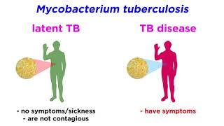 MultidrugResistant Tuberculosis MDRTB Mycobacterium tuberculosis [upl. by Gibbeon]