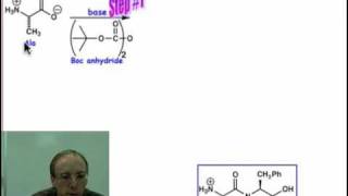 Peptide Synthesis [upl. by Horvitz]