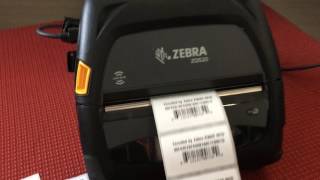 Zebra ZQ520 RFID Mobile Printer [upl. by Morril529]