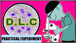 DLC Test  WBC Differential Count  Differential Leukocyte Count [upl. by Helen]