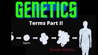 USMLE Step 1  Lesson 32  Genetic terms Part II [upl. by Ashli]