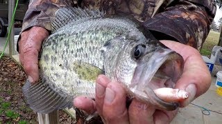 Crappie Fishing With A Bobber and Live Minnows [upl. by Balsam]