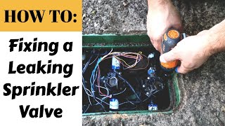 HOW TO Fixing A Leaking Sprinkler Valve [upl. by Bohaty]