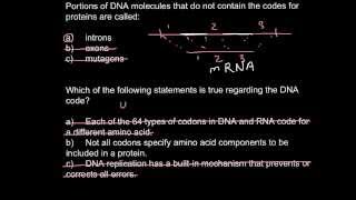 Introns exons and codons [upl. by Dodds]