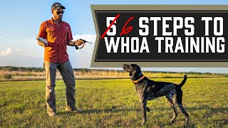 The Complete Guide To Whoa Training  Every Single Step [upl. by Blayne86]