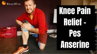 Pes Anserine Bursitis Vs Medial Meniscus Injury [upl. by Nylaroc]