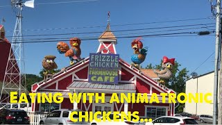 Frizzle Chicken Farmhouse Cafe [upl. by Trini]