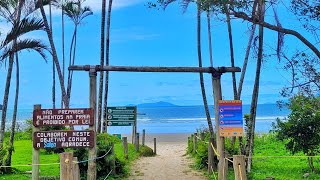 Ubatuba Praia da Lagoinha tour completo [upl. by Banna]