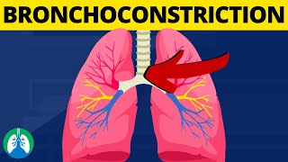 Bronchoconstriction Medical Definition  Quick Explainer Video [upl. by Velick]