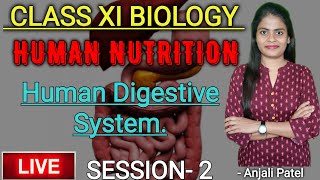 Class 11th Biology  Human nutrition  Human Digestive System  Session 2  Anjali Patel [upl. by Adnirol]