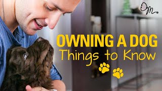 OWNING A DOG  Things to Know Before Getting a Puppy  Doctor Mike [upl. by Retsae221]