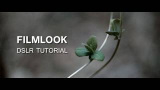 DSLR Tutorial How to get the Filmlook amp what youre doing wrong [upl. by Forest]