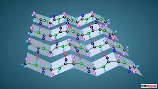 Proteins and their Structure [upl. by Nishi]