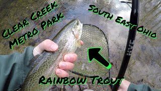 Amazing Trout Fishing in Ohio Clear Creek Metro Park [upl. by Jansen]