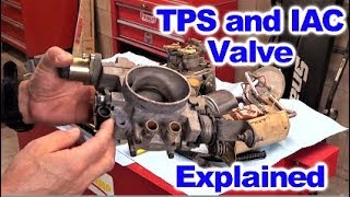 How the Throttle Position Sensor TPS and Idle Air Control Valve IAC Work [upl. by Anaeg980]