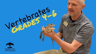 Vertebrates Grades 46 Education Video Series [upl. by Naejarual669]