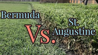 Bermudagrass vs St Augustinegrass  Warm Season Turf [upl. by Bonnell]