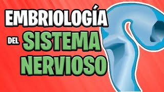 ✅ EMBRIOLOGÍA del SISTEMA NERVIOSO CENTRAL Parte 1° 🧠⚡ [upl. by Ytte]