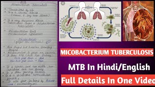 Micobacterium tuberculosis  Mycobacterium tuberculi microbiology [upl. by Thurstan]