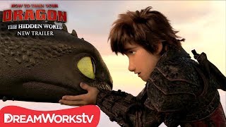 Who Are Toothless amp The Light Furys Children Night Lights  How To Train Your Dragon [upl. by Wilkins835]