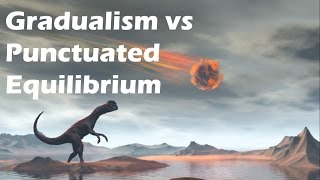 Gradualism vs Punctuated Equilibrium [upl. by Philips63]