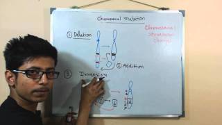 Chromosomal mutations  deletion mutation [upl. by Eaner]