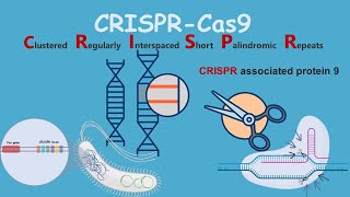 CRISPR Gene editing and beyond [upl. by Rubio]