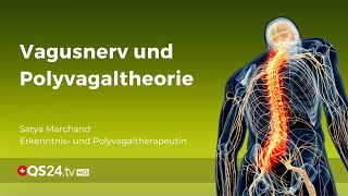 Vagusnerv und Polyvagaltheorie  NaturMEDIZIN  QS24 Gesundheitsfernsehen [upl. by Jago316]