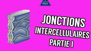 03  Les Jonctions intercellulaires Partie 1 [upl. by Egrog]