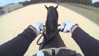 Virtual View How To Hold amp Use Double Bridle Reins [upl. by Arimihc32]