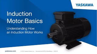 Motor Basics [upl. by Spratt]