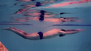 Swimming quoteasyquot butterfly in 4k Ultra HD [upl. by Tsenre]