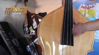 Pacas Verdes Slappin Da Bass Cover   Manny Tololoche [upl. by Ehcram494]