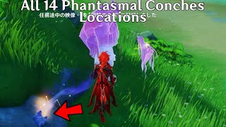 All Phantasmal Conches Location Genshin Impact [upl. by Ahsekam]