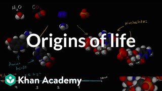 Origins of life  Biology  Khan Academy [upl. by Enirahtac]