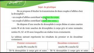 Bac Sciences  Sujet Corrigé de Génétique Humaine  Génétique des Diploïdes [upl. by Young]