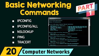 Basic Networking Commands Part 1 [upl. by Mobley935]