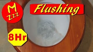 Toilet Flushing Sound Effect 8 Hours of Flushing and Topping Up a Toilet  Royalty Free [upl. by Hutson]