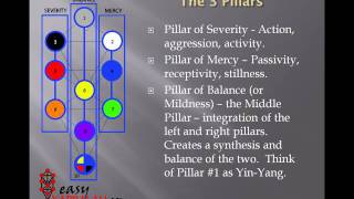 Tree of Life Basics [upl. by Kayla]