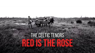 The Celtic Tenors Red is the Rose Official Video [upl. by Aical]