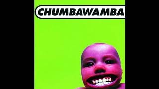 Chumbawamba Tubthumping Original Lyrics [upl. by Norahc]