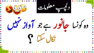 Paheliyan In Urdu With Answer  Amazing Facts About Animals  General Knowledge Questions And Answer [upl. by Yeuh]