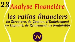 23 Analyse financière les ratios financiers [upl. by Basir38]