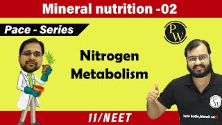 Mineral Nutrition  02  Nitrogen Metabolism  Class 11  Pace Series [upl. by Supen]