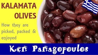 Kalamata Olives  How Kalamata Olives Are Prepared amp Enjoyed [upl. by Duthie]